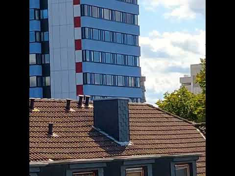 RASBOLAN...FOR JAH [Official Video]...@rasbolan716