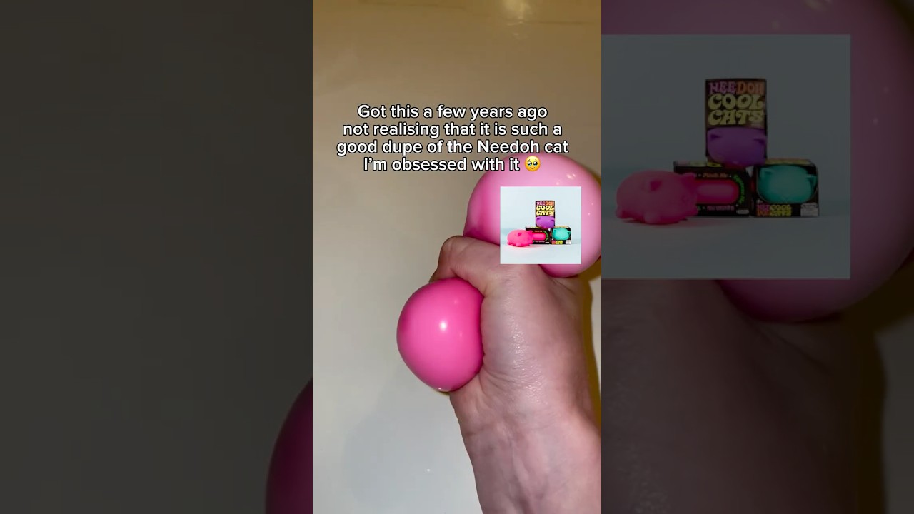 They are called candy cats btw 🤓 #trending #blowup #needoh #dumplings #algorithm