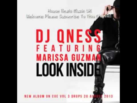DJ Qness Look Inside Radio Edit)