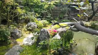 How to Create the Illusion of More Space in a Small Garden