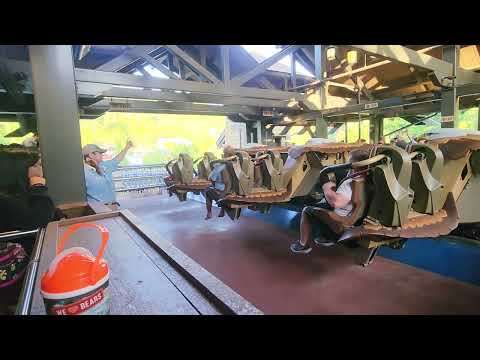 Wild Eagle short video by rtraveler2004