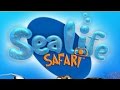 Sea Life Safari Let 39 s Play Spacewardfever