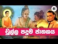 චුල්ල පදුම ජාතකය Chulla Paduma Jathakaya M V Gunadasa විරිඳු