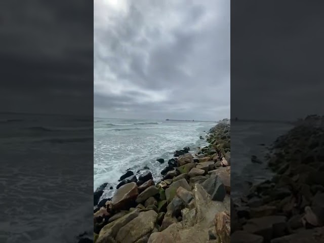 Vídeo relacionado con Oceanside Beach California Camisa Lost Paradise Camiseta