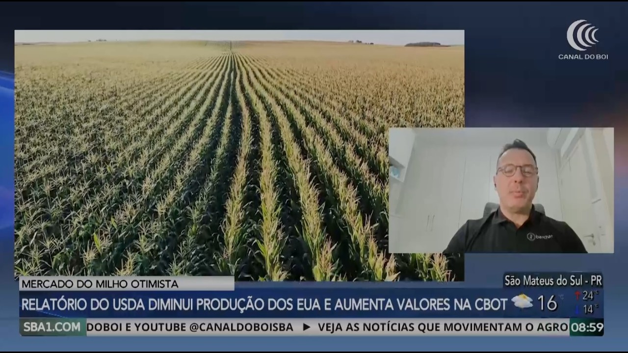 Relatório do USDA diminui produção dos EUA e aumenta valores na CBOT