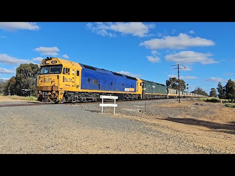 7731V PN down empty grainy (BL31, G539, 40H)  Geelong to Murtoa, 1800, 19/11/25, Lubeck VIC 