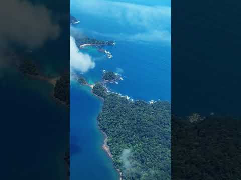 Selva, ballenas y playas escondidas en Colombia