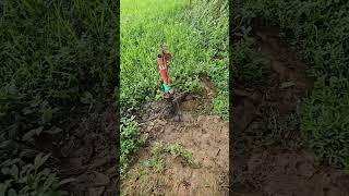 অনেক সুন্দর জাইগা