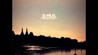 B Mus - A Birds Migration