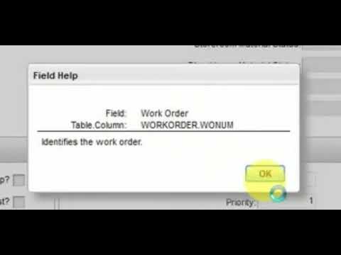 Maximo   Finding Record Levels