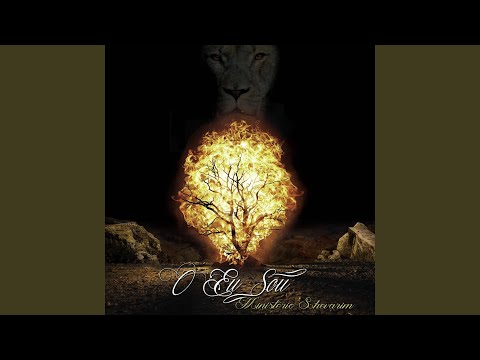 Vem Meu Noivo - Ministério Shevarim