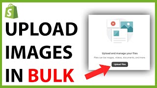 How to Upload Images in Bulk on Shopify