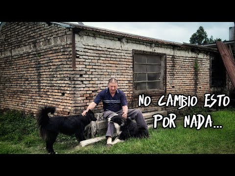 Former artist representative now lives alone in the countryside | A lake, his vegetable garden, a...