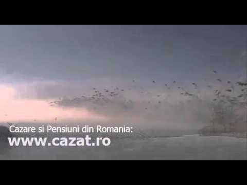 Cazare Focseasca, Vaslui - Cazat.ro