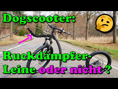 Ruckdämpfer Leine für den Zughundesport - schädlich für den Hund ? / Zughundesport / Nature Trails