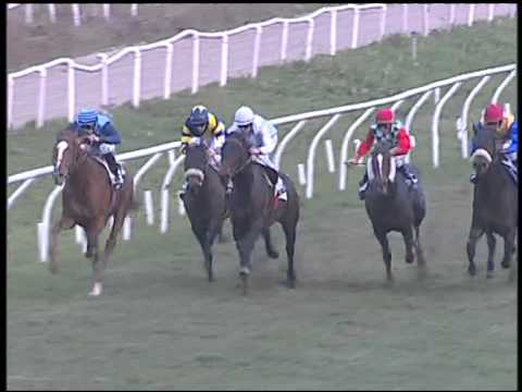 Galoppo 16/01/2015 - 3° corsa