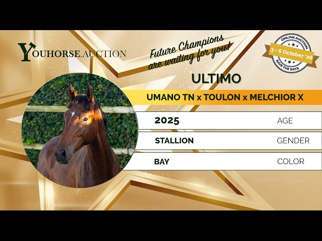 ULTIMO