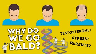 Why Do We Go Bald? / What Causes Hair Loss? #MYTHS #DEBUNKED