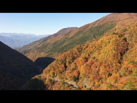 身延空中散歩～林道湯之奥猪之頭線～