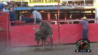 Jaripeo Cuevas De Michoacan v.s El Elegante (1080p)HD