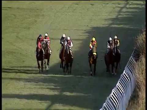 Galoppo 02/01/2020 - 3ª corsa