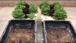 Soil growers can't handle this video!