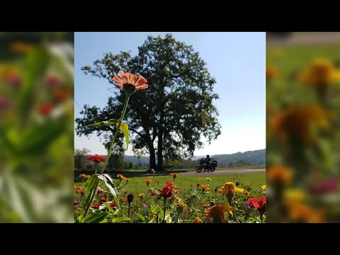 Motorradtour Elsass 09-10-2021