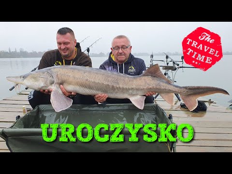 KARPIOWA POLSKA #4 / TAKTYKA NA UROCZYSKO KARPIOWE