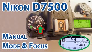 Nikon D7500: Go beyond auto mode!