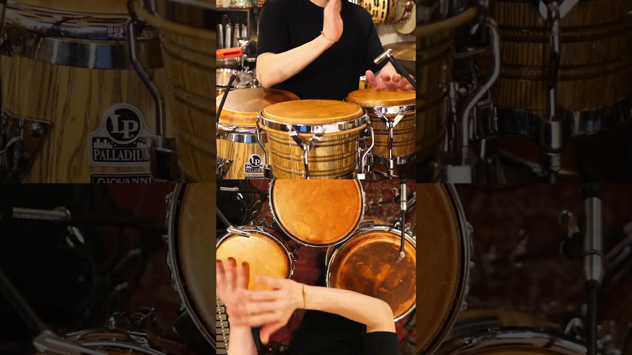 Which Bongo Do You Prefer?🤔どっちのボンゴが好き？