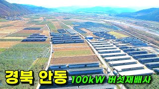 상업운전 중인 건물형 버섯재배사 100kW 8구좌 매매, 양도양수 / 저렴한 자기자본금!