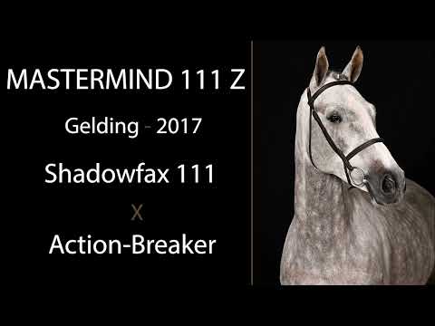 Mastermind 111 Z video