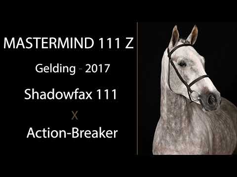 Mastermind 111 Z video