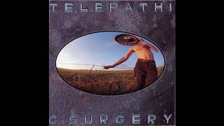 The Flaming Lips - Telepathic Surgery (1989) Full Album