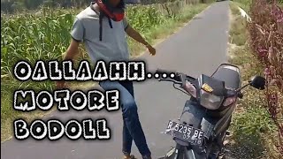 Download lagu Status wa Lucu Jawa Ngapak mp3