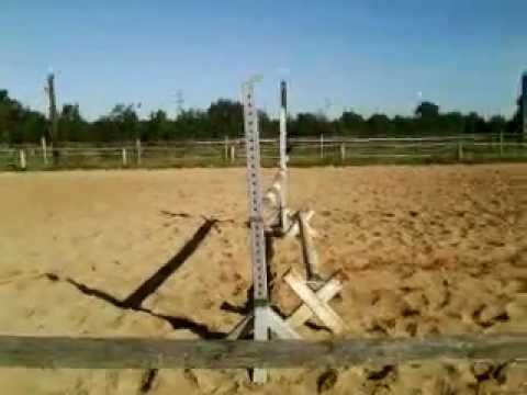 Springreiten mit Tina *-*