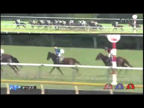 優駿牝馬　オークス2015
