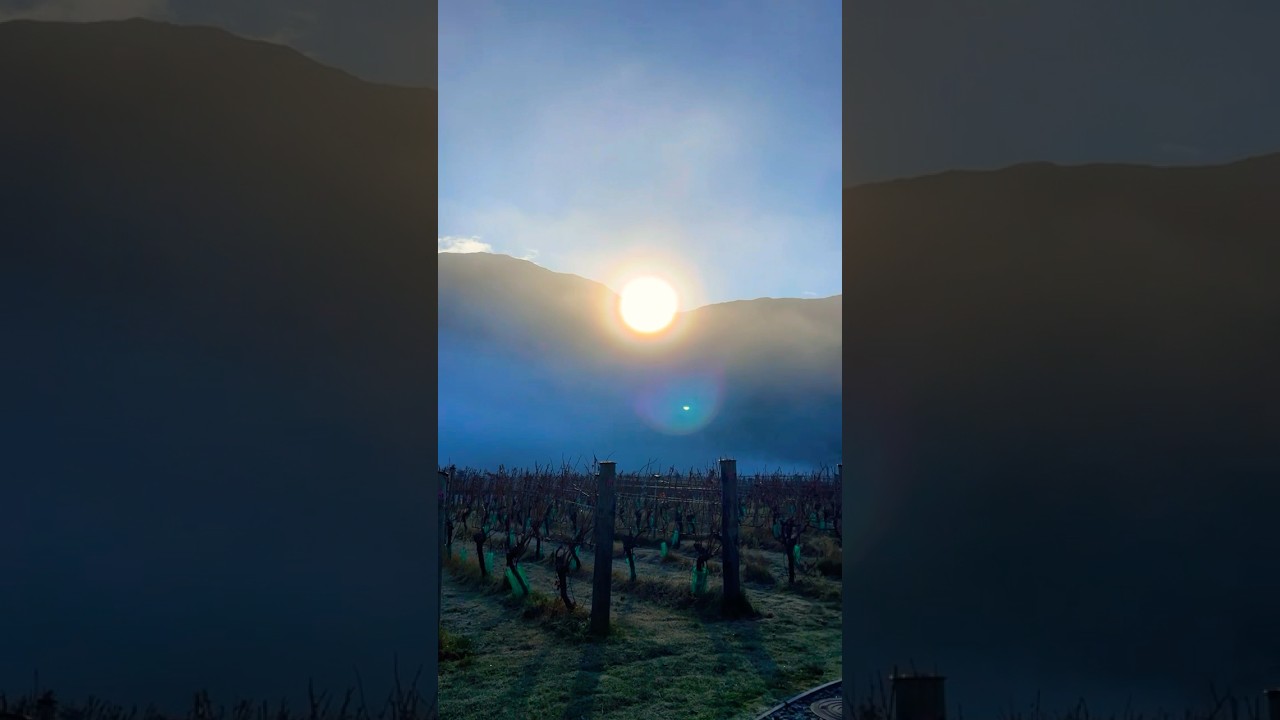 YouTube Short thumbnail