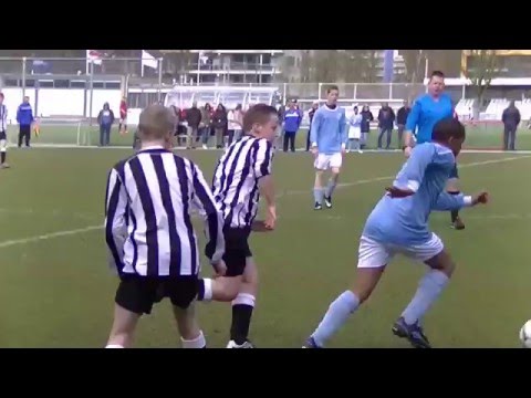 Samenvatting Zwaluwen C6 -  Hermes DVS C3