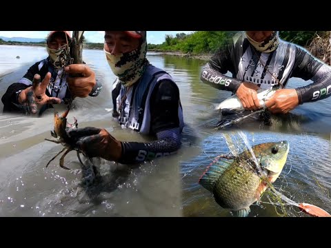 Part-1 Panlalambat - Sugpo, Alimango, Tilapya at Bangus
