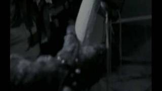 The Gazette - Taion [tłumaczenie]