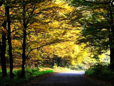 Barvinok - Ne sumi kalinonjko