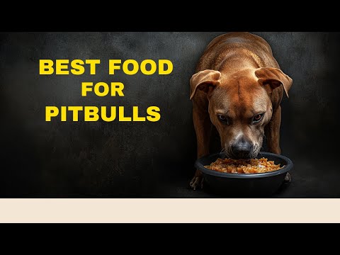 Best Dog Food For Pitbulls | Top Nutrition For Muscle & Health!