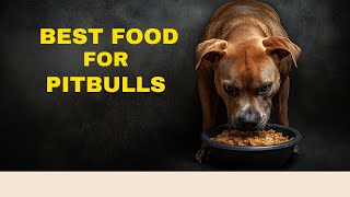Best Dog Food For Pitbulls | Top Nutrition For Muscle & Heal