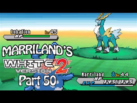 Pokemon White 2, Part 50: Route 13