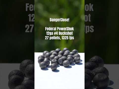 Federal PowerShok #4 Buckshot, 27 pellets - Coach Gun, DangerClose