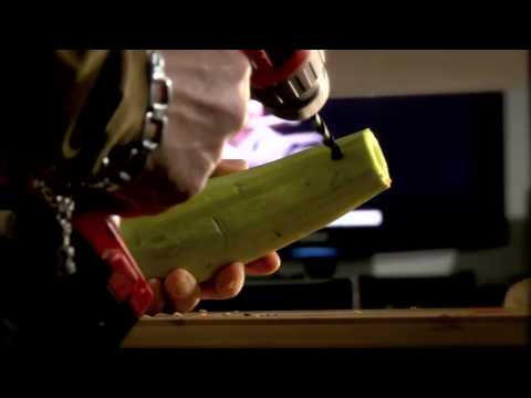 Ion Bogdan Stefanescu - Clip TVR Cultural