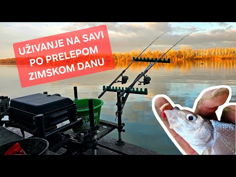 ISKORISTITE PRELEPE ZIMSKE DANE - SAVA I BELA RIBA