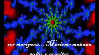 Sueños del 95 - Aterciopelados (Con Letra)