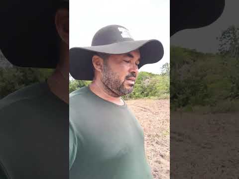 itapiranga Amazonas